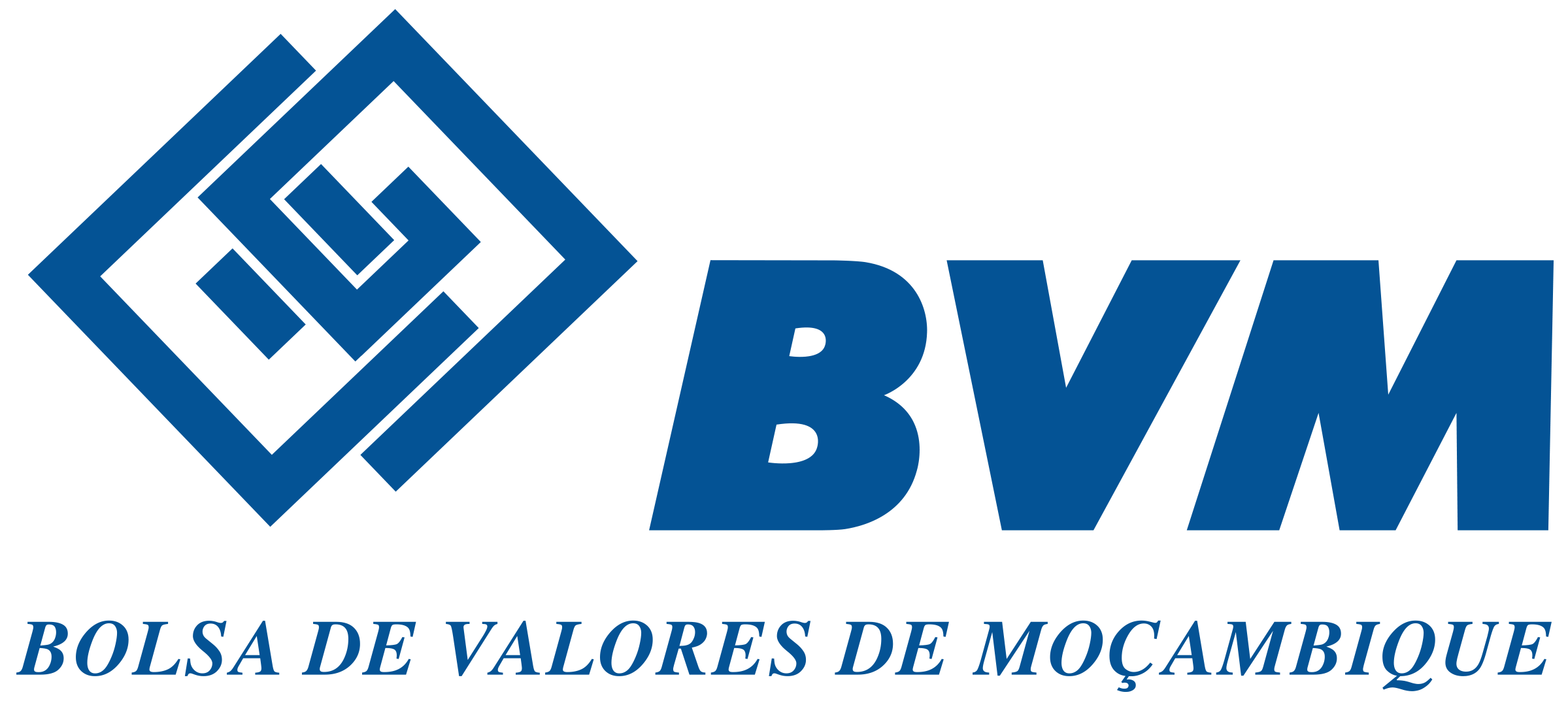 BVM-logo-azul